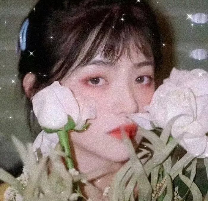 白宫也疯狂
